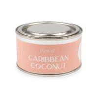 Pintail Candles Caribbean Coconut Paint Pot Candle Extra Image 1 Preview